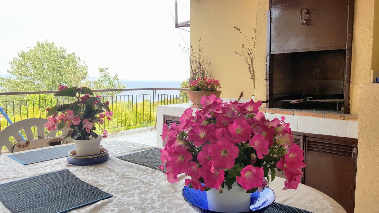 Amazing Sea View Loft, Afytos Lejlighed Eksteriør billede